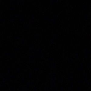 Meet your Posher, Selena